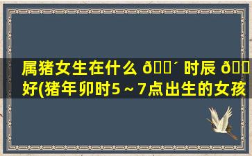属猪女生在什么 🌴 时辰 🌷 好(猪年卯时5～7点出生的女孩)